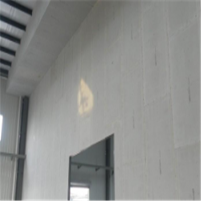 二道宁波ALC板|EPS加气板隔墙与混凝土整浇联接的实验研讨